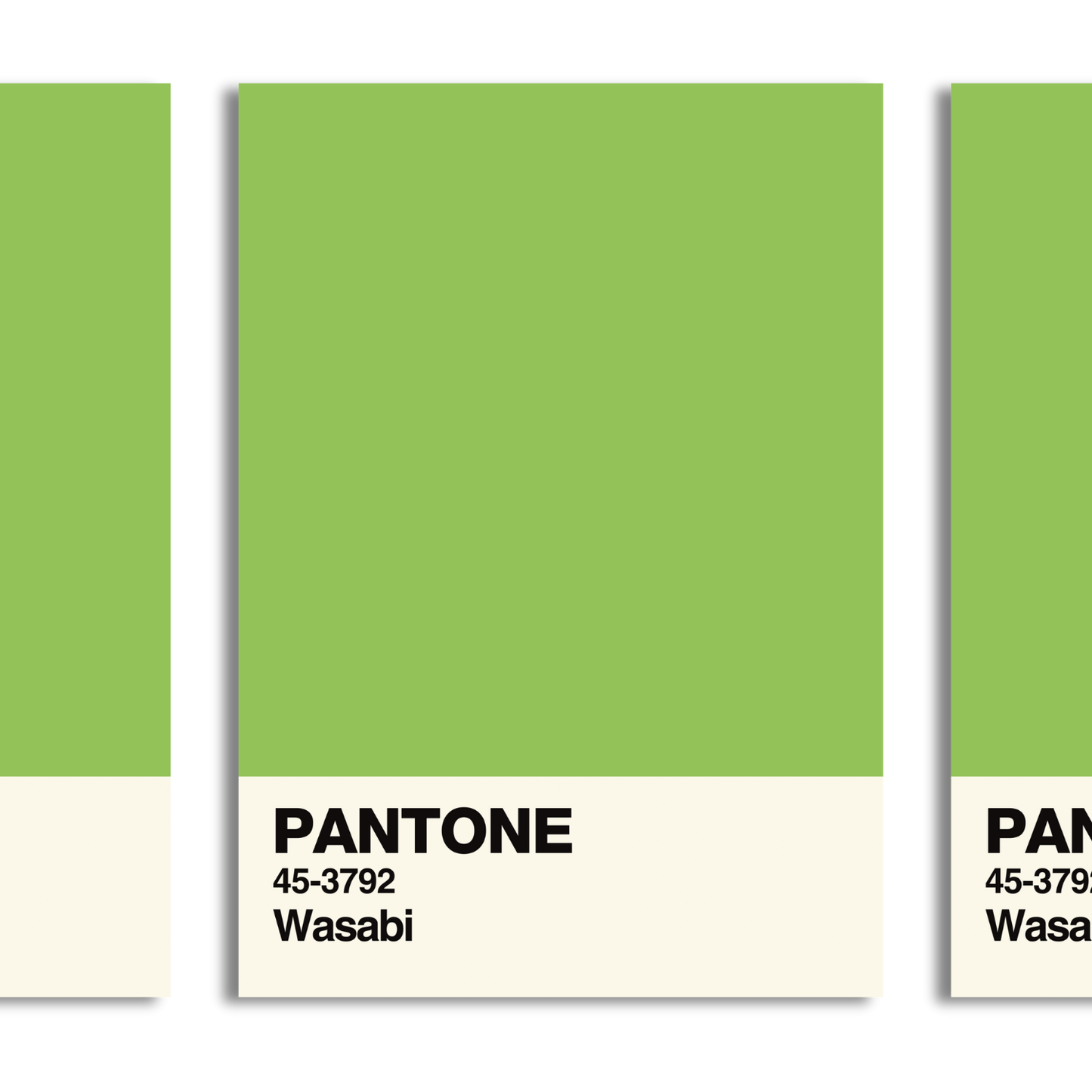 Wasabi Swatch A5 Print