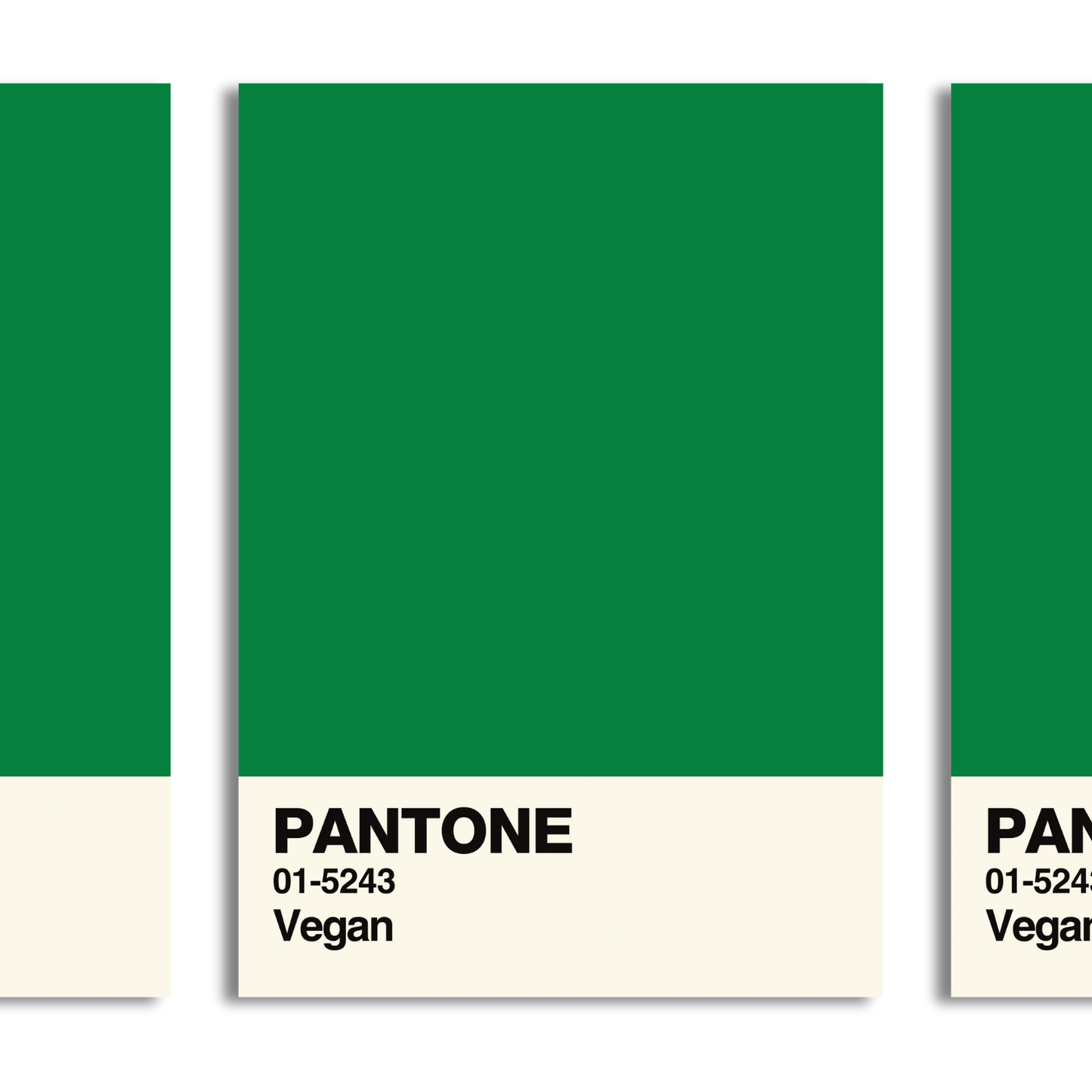 Vegan Swatch A5 Print