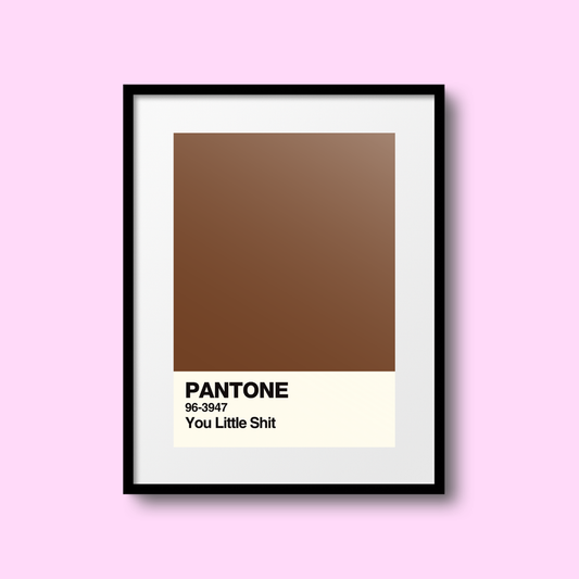 You Little Shit Swatch A5 Print