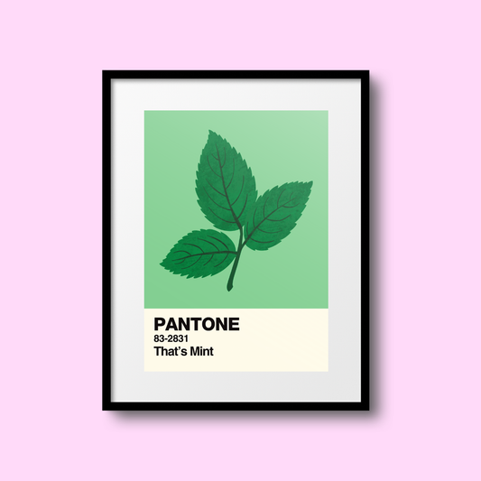 That's Mint Swatch A5 Print
