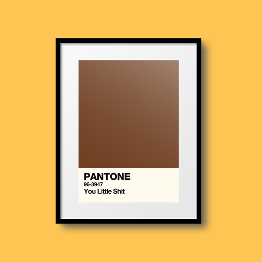 You Little Shit Swatch A5 Print
