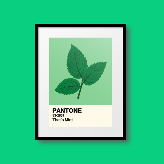 That's Mint Swatch A5 Print