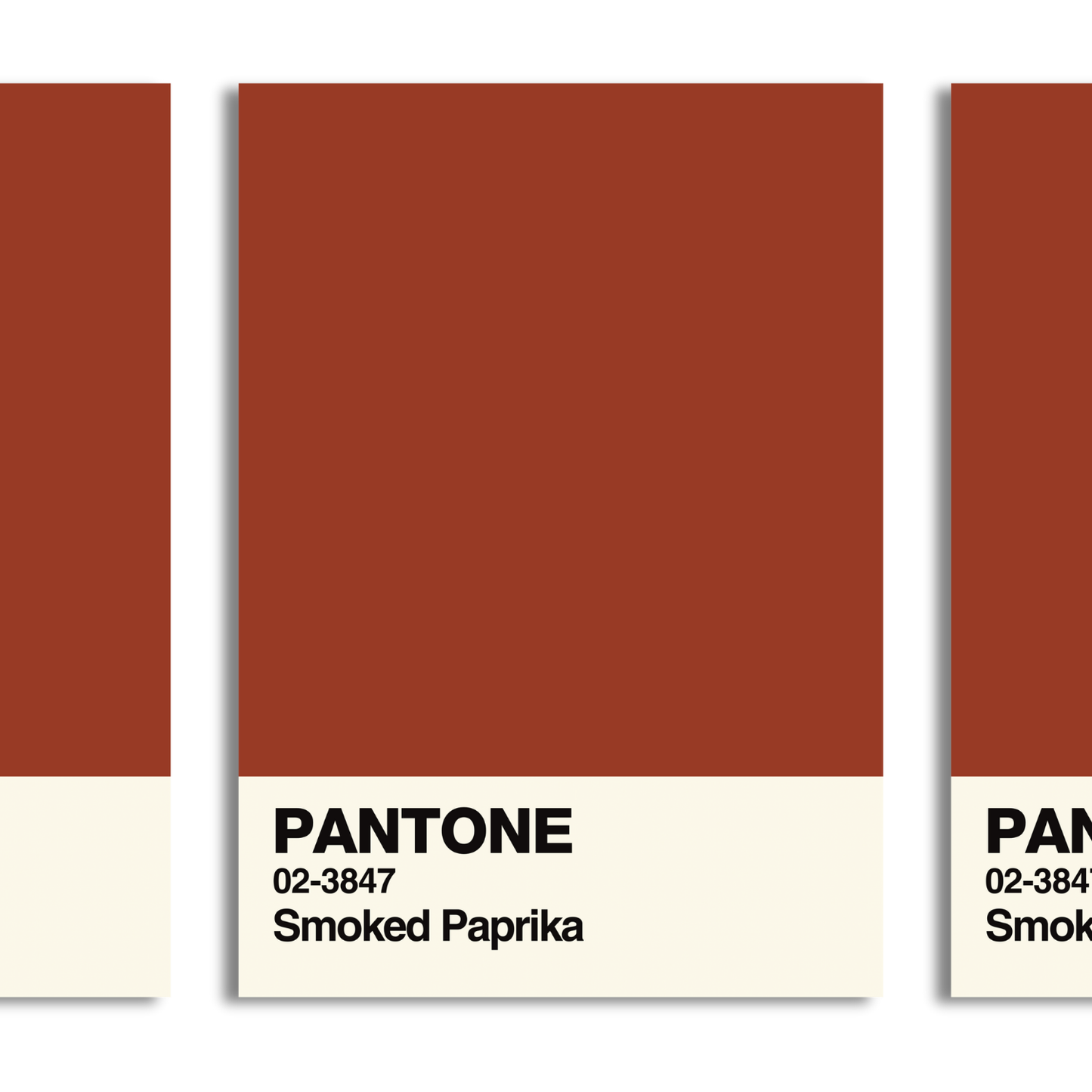 Smoked Paprika Swatch A5 Print