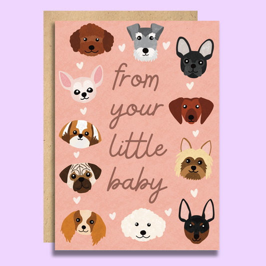 From Your Little Baby